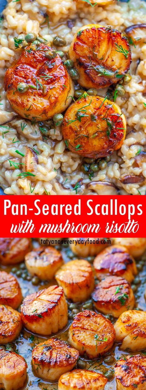 Fancy Seafood, Creamy Mushroom Risotto, Fancy Foods, Pan Seared Scallops, Seafood Recipe, Seared Scallops, Best Seafood Recipes, Clam Recipes, Scallop Recipes