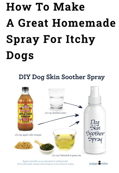 Dog Paw Soak Diy, Diy Dog Conditioner Recipes, Foods Dogs Can Eat, Pet Remedies, Meds For Dogs, Pet Treats Recipes, Easy Dog Treat Recipes, Dog Remedies, Easy Dog Treats