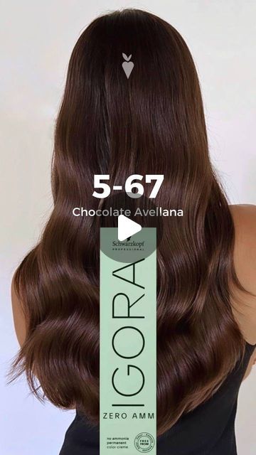 Igora Hair Color, Pelo Chocolate, Chocolate Hair, August 10, Chocolate Ganache, Hair Styling, Balayage, Hair Color, Hair Styles