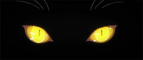 Hanekawa Tsubasa, Regard Animal, Horror Cartoon, Black Banner, Scary Gif, Cat Anime, Art Tumblr, Yellow Cat, Anime Cat