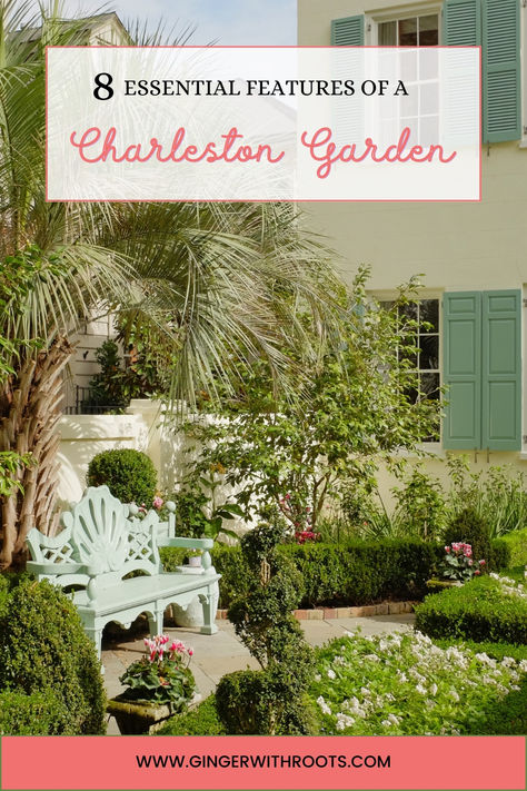 beautiful garden with blue bench and palm tree