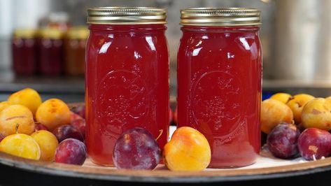 Plum juice is a family favorite so I am glad we have 5 plum trees and I know how to juice and can plum juice at home. Making plum juice is one of the easiest ways to preserve our harvest. Plum Juice is a little thick and tart so we like to make it into a "punch" by mixing it with lemon-lime soda. It can also be made into a lovely jelly. Freezing Plums, Canning Plums, Steam Juicer, Canning For Beginners, How To Make Juice, Plum Butter, Food Storage Pantry, Plum Juice, Canned Plums