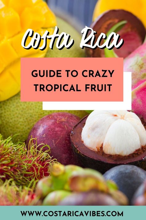 Have you ever eaten soursop? What about mangosteen? In Costa Rica, you can try these exotic tropical fruits. Discover eleven fruits that you should try while traveling. Costa Rica Fruit, Papagayo Costa Rica, Costa Rica Travel, Healthy Sweets Recipes, In Season Produce, Travel Bug, Best Fruits, Tropical Fruits, A Fruit