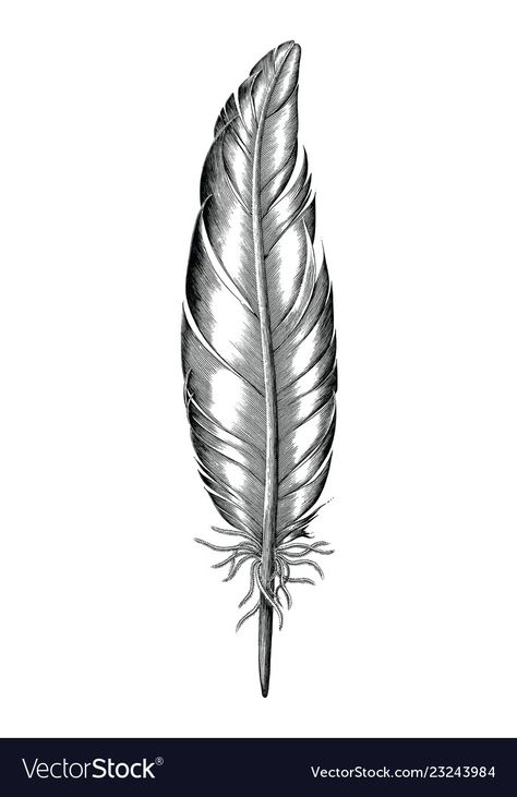 Duck Feather Drawing, Goose Feather Tattoo, Duck Feather Tattoo, Feather Tattoo Men, Draw Duck, Feather Tat, Feather Tattoo Black, Feather Sketch, Male Duck