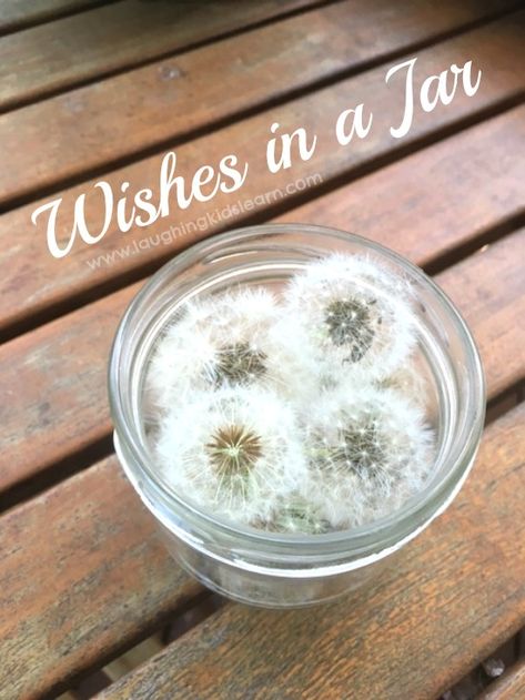 Wishes In A Jar, Dandelion Puff Jar, Dandelion Wishes In A Jar, Dandelion Gift Ideas, Dandelion Party Decorations, Dandelion Wish Jar, Dandelion In A Jar, Dandelion Decorations, Dandelion Ideas