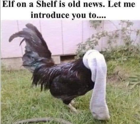 Sunday Funnies, Sick Humor, Elf On A Shelf, Funny Pix, Funny Jokes For Adults, Friday Humor, Funny As Hell, Sarcastic Quotes Funny, Twisted Humor