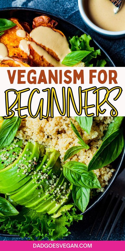 How To Eat Vegan For Beginners, How To Become A Vegan, How To Be Vegan, How To Start Vegan Lifestyle, How To Go Vegan For Beginners, How To Become Vegan Slowly, Going Vegan For Beginners, Vegan Vs Vegetarian, Vegan For Beginners