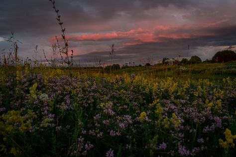 Moody Laptop Wallpaper, Nature Aesthetic Desktop Wallpaper, Wallpaper Laptop Nature, Live Deliberately, Pc Desktop Wallpaper, Nature Desktop, Misty Dawn, Dark Landscape, Forest Light