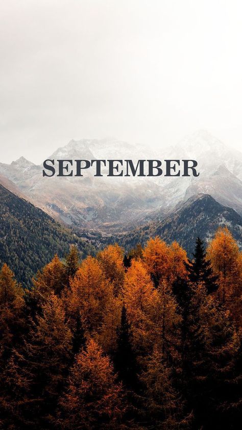 September Wallpaper, Wallpapers Beautiful, Hello September, Nature Wallpaper, Trees, Wallpapers, Nature