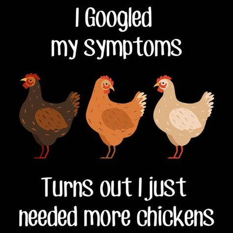 Chicken Tee Shirts, Chicken Funny Humor, Funny Chicken Quotes, Chicken Wisdom, Chicken Math, Farmer Quotes, Chicken Quotes, Funny Chickens, Wicked Chicken