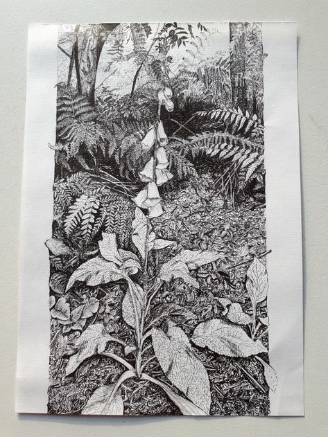 Ink Illustrations Nature, Ink Plant Drawing, Ink Exercises, Garden Sketch, Basic Sketching, Plant Sketches, Epping Forest, Drawing Nature, Inktober 2024