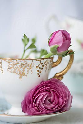 Teacups by Ruth Black. A collection of stock imagery available royalty-free from Stocksy United. Ranunculus Flowers, Vintage Teacups, Tea Cups Vintage, Good Morning Greetings, Morning Greeting, Flower Wallpaper, Pink Background, Beautiful Roses, Pretty Flowers