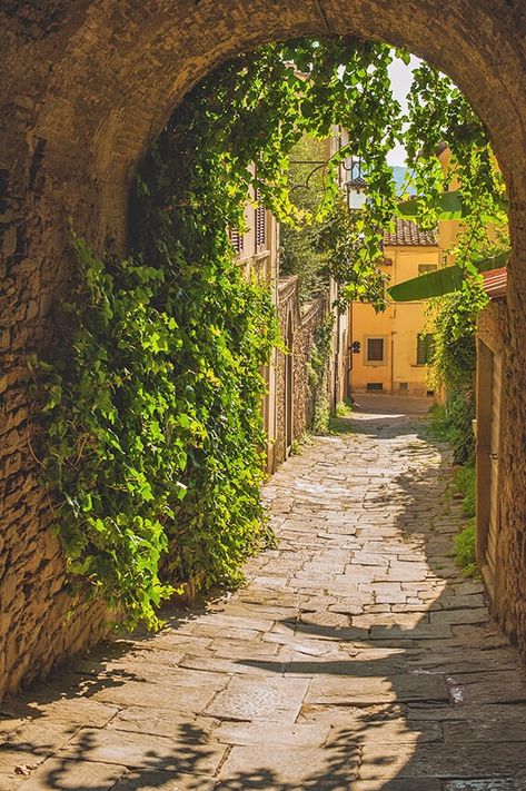 Italian Honeymoon, Vines, A Small, Italy, Building, Green