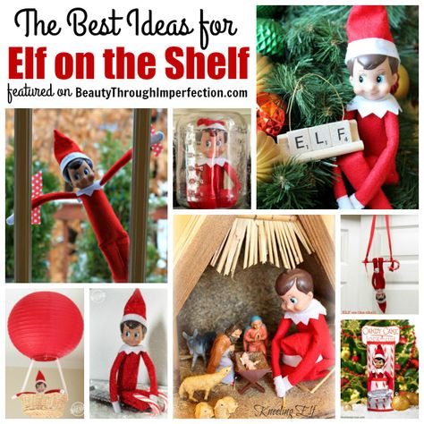 These elf ideas will help your elf on the shelf get creative with his hiding places to make your child's morning every single day in December! Elve On A Shelf Ideas, Santa Crafts, Days Until Christmas, Hiding Places, Gnomes Crafts, Toilet Paper Roll, Christmas Lettering, Christmas Elf, Xmas Crafts