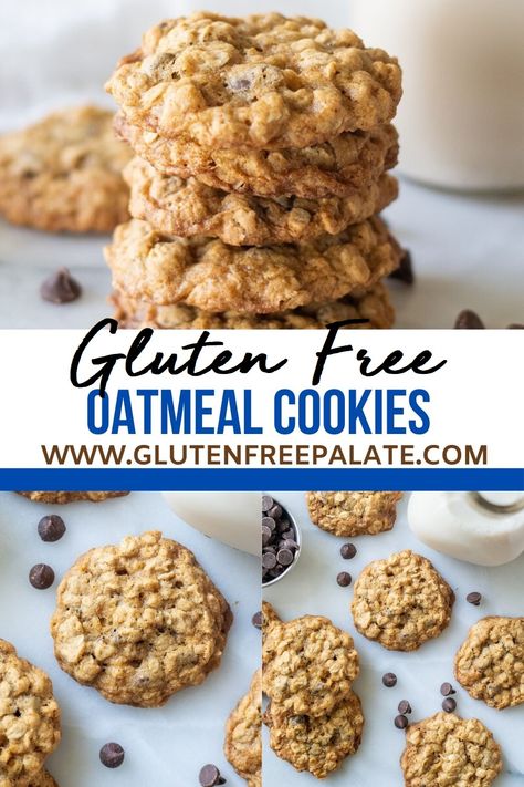 Raisin Chocolate Chip Cookies, Oatmeal Raisin Chocolate Chip Cookies, Gluten Free Oatmeal Chocolate Chip Cookies, Gluten Free Oatmeal Raisin Cookies, Gluten Free Oatmeal Cookies, Recipe Cheesecake, Classic Cookies Recipes, Gluten Free Cookie Recipes, Cheesecake Dessert