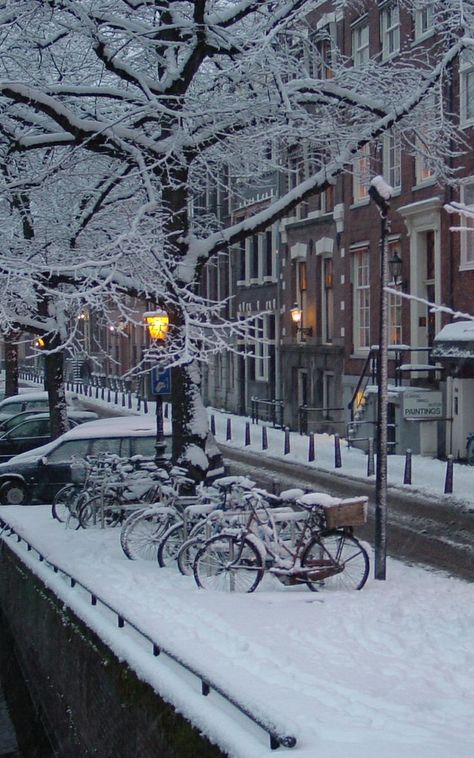 Winter in Amsterdam. The Netherlands Gifts For Boyfriend, Christmas Gifts For Boyfriend, Winter Magic, Winter Scenery, Winter Beauty, Amsterdam Netherlands, Snow Scenes, Winter Pictures, Best Seasons