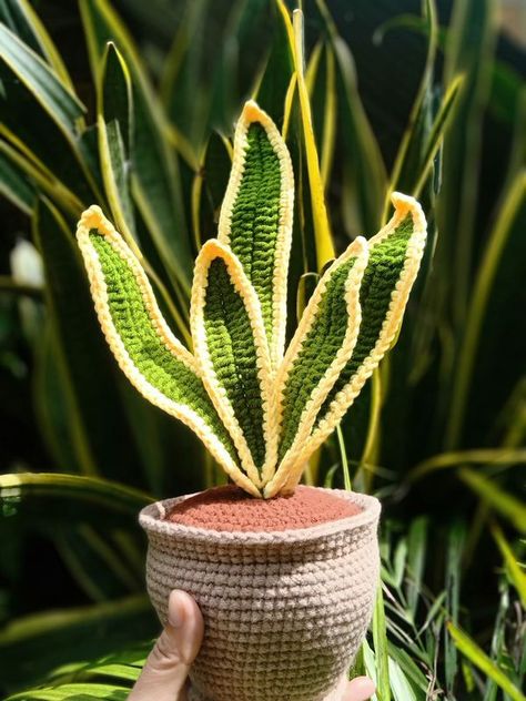 Snake Plant Crochet, Crochet Snake, Plant Crochet, Crochet Flower Patterns, Snake Plant, Crochet Bag Pattern, Knit Or Crochet, Crochet Flowers, Bag Pattern