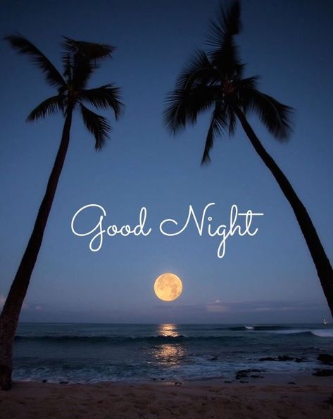 Good Night For Him, New Good Night Images, Good Night Images Hd, Romantic Good Night, Good Night Images, Beautiful Good Night Images, Good Night Love Images, Cute Good Night, Slaap Lekker