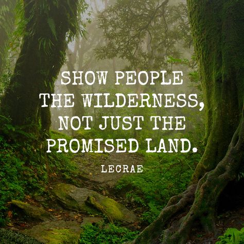 Show people the wilderness, not just the promised land. - SermonQuotes Promise Land Quotes, God Lead Me, Land Quotes, Promise Land, Biblical Wisdom, Burning Desire, Promised Land, The Wilderness, Wise Quotes