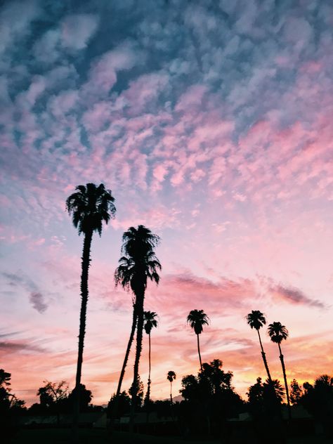 The sunsets around Palm Springs and in the Coachella Valley are unreal! 😍 Palm Springs Background, Coachella Aesthetic Wallpaper, Coachella Background, Spring Landscape Photography, Bachelorette Palm Springs, Palm Springs Landscaping, Wedding Palm Springs, Palm Springs Aesthetic, Palm Springs Decor