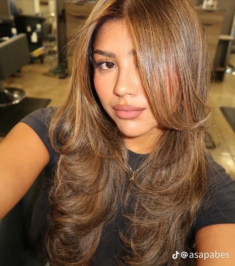 Honey Brown Hair Blue Eyes, Rich Honey Brown Hair, Caramel Balayage Asian Hair, Maple Brown Hair With Highlights, Short Honey Brown Hair, Zendaya Hair Color, Hair Color For Tan Skin Asian, Honey Highlights On Dark Hair, Amber Brown Hair