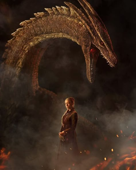 House Of The Dragon Wallpaper, Emma Darcy, Dragons Game Of Thrones, Hunger Games Fashion, Breathing Fire, Dragon Wallpaper, Got Dragons, Targaryen Art, Dragon Series