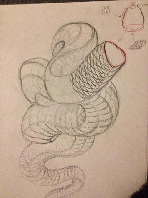 How To Draw Scales Snake, Japanese Dragon Reference, Snake Anatomy Drawing, How To Draw Snake Scales, Snake Reference Drawing, Snake Scales Drawing, Snake Design Drawing, Snake Head Reference, Snake Drawing Reference