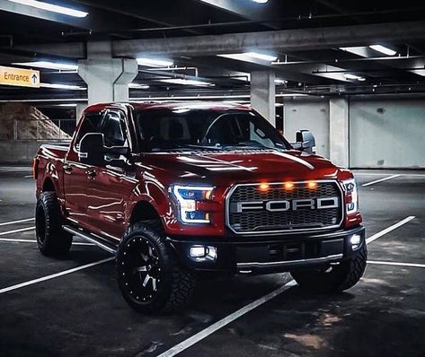 Mobil Off Road, Truck Life, Ford Trucks F150, Ford Mustang Car, Trucking Life, Suv Trucks, Ford Pickup Trucks, Ford Raptor, Mustang Cars