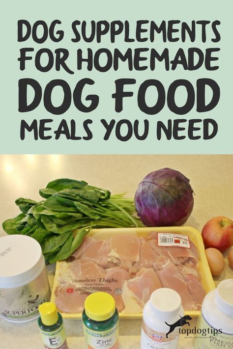 How To Make Dry Dog Food Homemade, Homemade Dog Food Bulk, Diy Dog Vitamins, Balance It Dog Food, Dog Nutrition Supplements, Nutritious Homemade Dog Food, Dog Food Business, Homemade Dog Vitamins, Dr Becker Dog Food Recipe