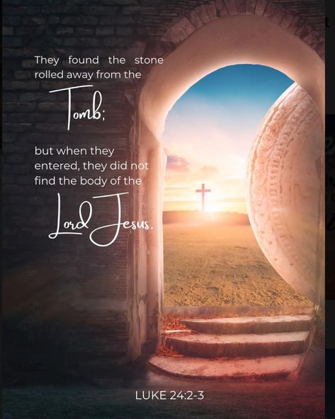 Happy Resurrection Sunday! Many blessings to you and your family! #wilsonscreativedesigns #ResurrectionSunday #BlessingsOverflowing #HeIsRisen #Easter Easter Jesus Resurrection, Have A Blessed Easter, Happy Resurrection Sunday, Easter Image, Happy Resurrection, Easter Scriptures, Blessed Easter, Lion Of Judah Jesus, Father's Day Activities