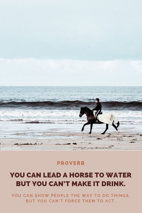 You can lead a horse to water but you can’t make it drink. Meaning : You can show people the way to do things, but you can’t force them to act. #motivationalquotes #inspirationalquotes #quotesaboutlife #quotestoliveby #successquotes #positivequotes #wordsofwisdom #lifelessons #entrepreneur #quotes #thoughts #words #poetry #wisdom #truth #success #motivation #inspiration #positivevibes #loveyourself #motivational #positivity #inspire #selflove #happiness You Can Lead A Horse To Water, You Can Lead A Horse To Water Quote, English Proverbs, Water Quotes, Life Learning, Quotes Thoughts, Entrepreneur Motivation, Hard Truth, Success Motivation