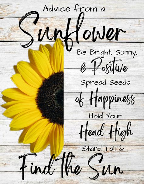 Advice from a Sunflower Be Bright, Sunny & Positive Spread Seeds of Happiness Hold your Heat High Stand tall & Find the Sun Stand Tall Like A Sunflower, Advice From A Sunflower, Fashion Design Collection, Craft Stuff, Great Words, Design Collection, Stand Tall, Food For Thought, Scarfs