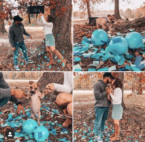 Puppy Reveal Ideas, Gender Reveal Ideas With Dog, Puppy Gender Reveal, Gender Reveal With Dog, Dog Adoption Announcement, Puppy Reveal, Puppy Photoshoot, Puppy Announcement, Pregnancy Gender