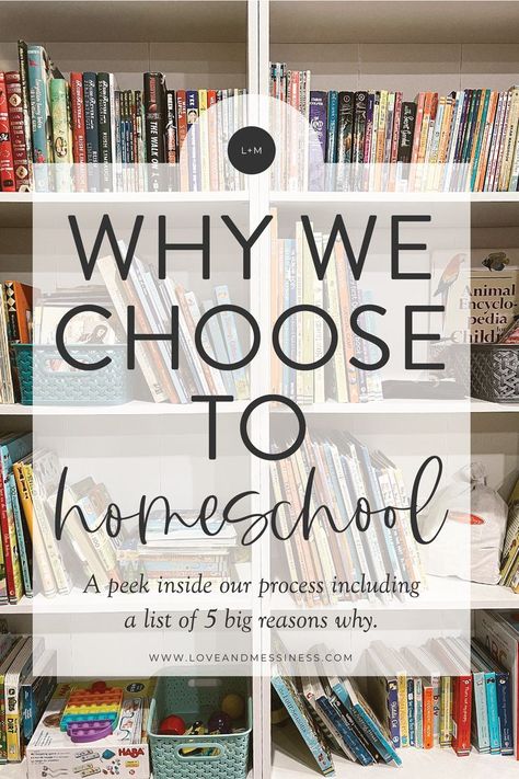 Learn why we chose to try to homeschool this year, peek inside our decision process and read 5 reasons why we chose this path! Reasons To Homeschool, Catholic Homeschool, Free Homeschool Resources, Homeschool Life, Free Homeschool, Charlotte Mason, Homeschool Mom, Homeschool Resources, Big Picture