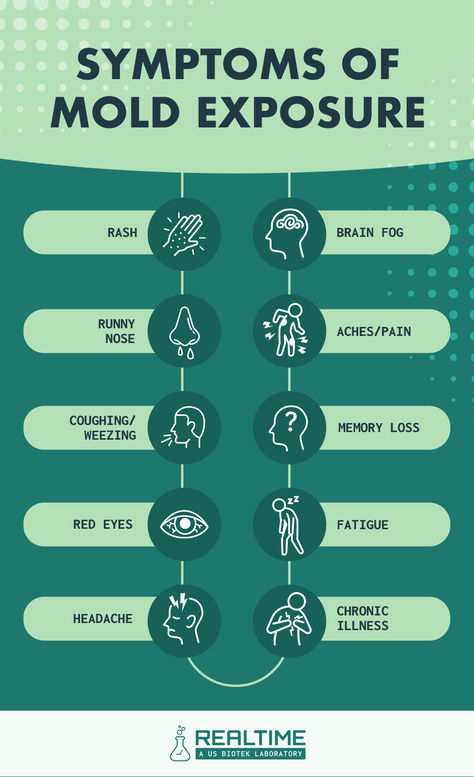 Do you know the signs of mold or mycotoxin exposure? Find out what to look for and what do do next.
#ChronicIllness #Cough #Fatigue #Runnynoise #brainfog #headache #spoonie Mold Poisoning, Mold Symptoms, Mold Toxicity, Mold Illness, Earth Food, Body Facts, Mold Exposure, Cleaning Items, Adrenal Fatigue