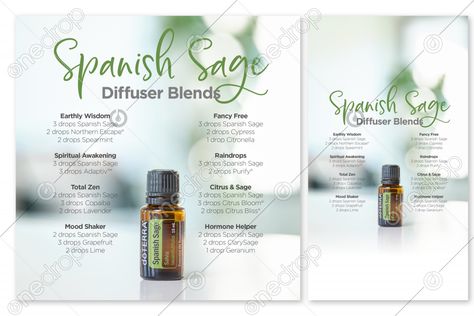 Spanish Sage Diffuser Blends, Spanish Sage Doterra, Sage Diffuser Blends, Sage Uses, Sage Recipes, Focus Blend, Doterra Diffuser, Doterra Diffuser Blends, Doterra Wellness Advocate