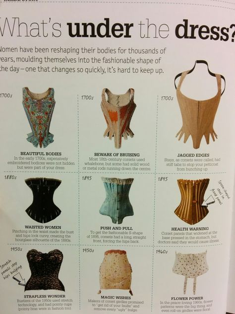 Different shapes a styles of historical corsets which are now coming back in to fashion.  Alezandra Black (2014). DK The Fashion Book. London: Sarah Larter. 26. History Of Corsets, Types Of Corsets Style, Historic Corset, Corset Historical, Types Of Corsets, Victorian Era Aesthetic, Antique Corset, Edwardian Era Fashion, Fashion History Timeline