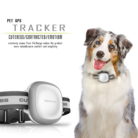 Mini IP66 Waterproof Pets Collar GPS Tracker Real time Locator GPS+LBS+WIFI Location Locator for Dog Cat Tracking Geofence Gps Tracker For Car, Airline Pet Carrier, Pet Tracker, Mini Gps Tracker, Pet Camera, Dog Clothing, Gps Tracker, Pet Store, Accessories Store