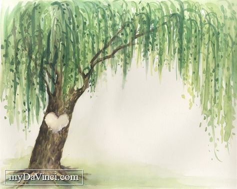 Watercolour Willow Tree, Willow Tree Wall Art, Watercolor Weeping Willow, Willow Tree Watercolor Painting, Willow Tree Painting Easy, Willow Tree Watercolor, Watercolor Willow Tree, Willow Tree Drawing, Willow Watercolor