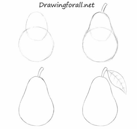 Pear Drawing, Drawing Apple, Basic Sketching, Pencil Drawings For Beginners, Fruits Drawing, Drawing Lesson, Object Drawing, New Drawing, Basic Drawing