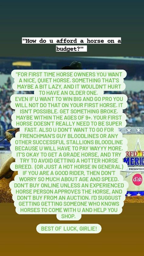 Barrel Racing Tips For Beginners, Hailey Kinsel, Barrel Racing Tips, Barrel Racing Quotes, Racing Quotes, Riding Tips, Cowgirl Quotes, Horse Riding Tips, Barrel Racing Horses