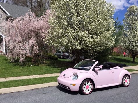 Pink VW Beetle Pink Volkswagen Beetle, Cars For Girls, Volkswagen Beetle Convertible, Pink Convertible, Bug Car, Girly Car Accessories, Car Deco, Beetle Car, Beetle Convertible