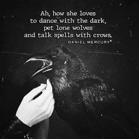 Raven Quotes, Raven And Wolf, Myths & Monsters, Witchcraft Spell Books, Astrology Art, Spells Witchcraft, Beautiful Dark Art, Witchy Woman, Writing Quotes