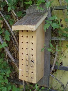 Bee Habitat, Backyard Habitat, Mason Bee House, Bee Conservation, Bee Houses, Backyard Bee, Bee Hotel, Solitary Bees, Insect Hotel