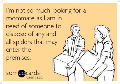 Roommate Meme, Cool Messages, Funny Confessions, School Humor, Ecards Funny, Someecards, Need This, Ecards, Humor