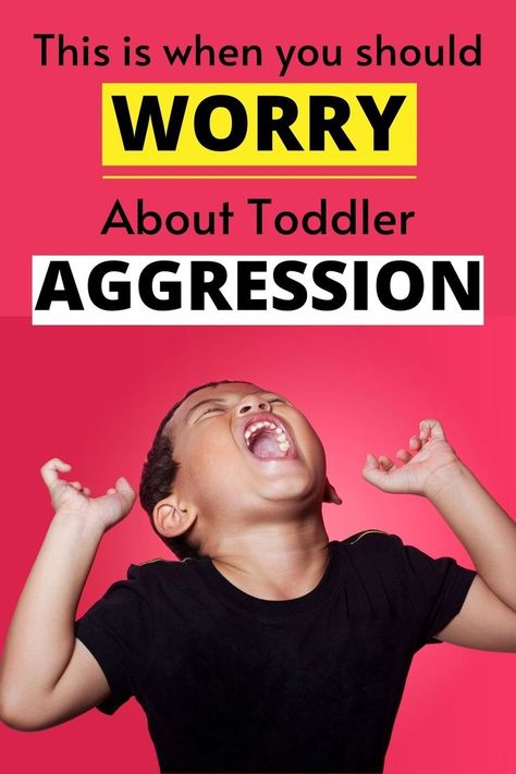 These are the warning signs to look out for when it comes to toddler aggression. Don't miss out on the signs you need to be aware of to know when to talk to your doctor about toddler aggression and violence. Aggressive Toddler, Talking Back, The Warning, Ask Yourself, Stop Talking, Be Aware, Get Excited, Warning Signs, The Signs