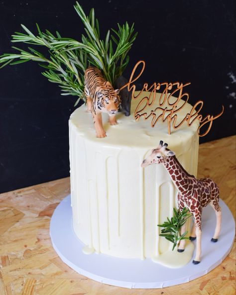 Jungle Theme Chocolate Cake, Wild One Birthday Cake Buttercream, Chocolate Safari Cake, Jungle Birthday Cake Diy, 2 Yr Birthday Cake, Easy Safari Cake, Safari Birthday Cake Simple, Diy Jungle Cake, Easy Jungle Cake