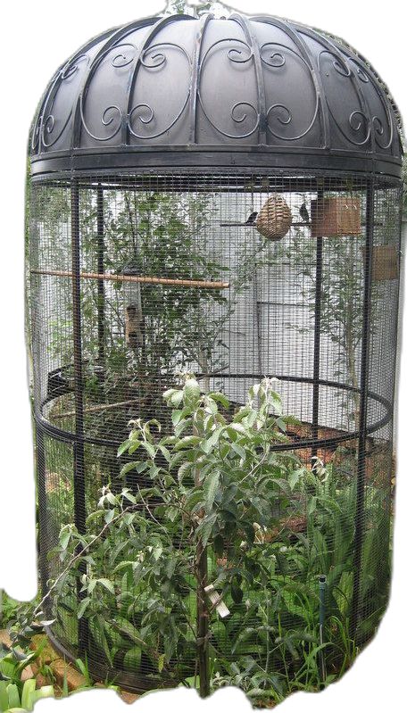 Bird Cage In Garden, Outdoor Bird Cage, Big Bird Cage, Antique Bird Cages, Pet Bird Cage, Large Bird Cages, Bird Aviary, Bird Cage Decor, Parrot Cage