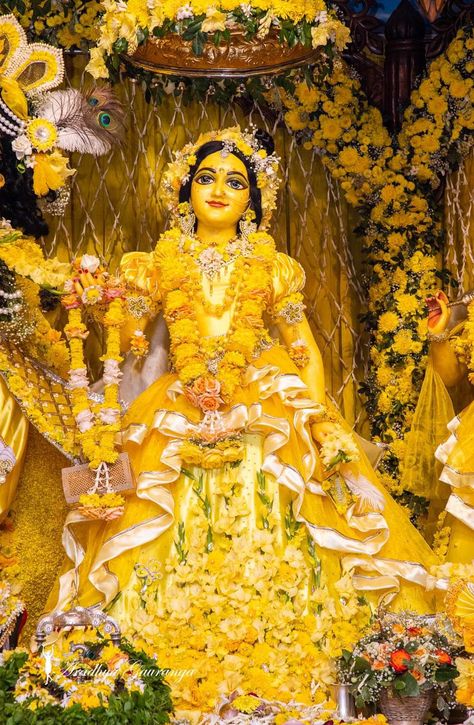 Mor Pankh Background, Radhe Rani, Radhe Govind, Radha Radha, Indian Culture And Tradition, Basant Panchami, Krishna Avatar, Shree Krishna Wallpapers, Radha Krishna Quotes