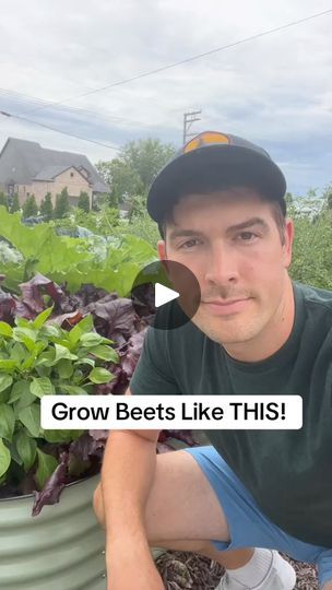 32K views · 632 reactions | The Most Important Thing That's Probably Missing From Your Backyard. Link 🪴 👇 
https://bit.ly/medicalseedkit
●
●
●
Credit MIgardener  
●
●
●
#gardening #homegardening #selfsufficient #gardeningtip #gardeninghacks #selfsufficiency | Gardening Ideas Grow Beets, Growing Beets, Gardening Ideas, Beets, Game Changer, Vegetable Garden, Gardening Tips, Planting, Instagram